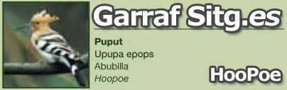 Garraf Natural Part Flora and Animals
